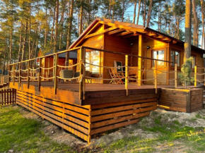 Domki Borsk - nowe, komfortowo wyposażone domki nad samym jeziorem Wdzydze w otoczeniu sosnowego lasu